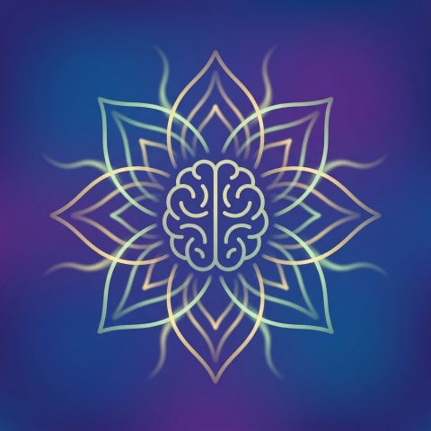 Meditação e Neurociência