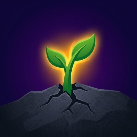 Resiliência Inabalável - Uma planta nascendo em Solo